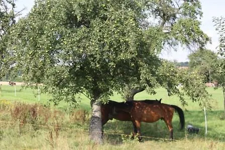 Lindenschaenke Гостевой дом